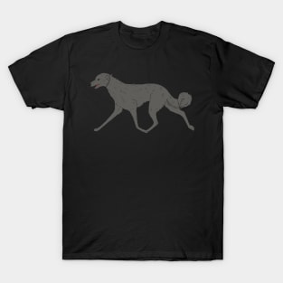 Irish wolf hound trot T-Shirt